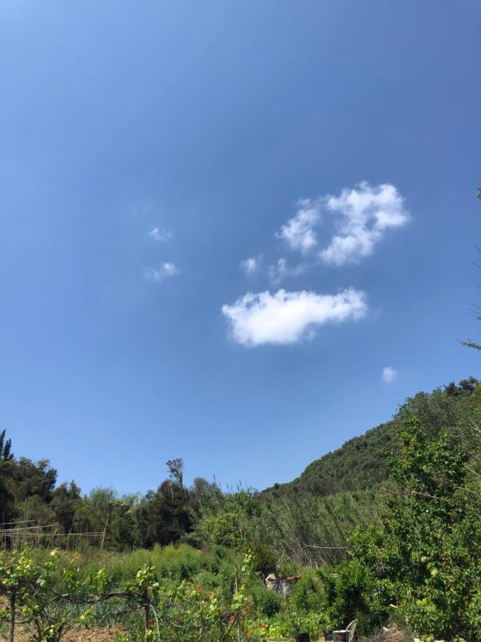 Villa Vasiliki Vitalades Exterior photo